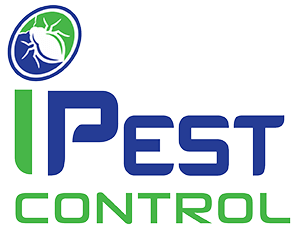 I Pest Control