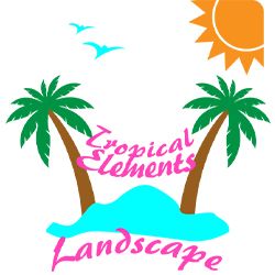 TROPICAL ELEMENTS LANDSCAPE