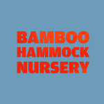 Bamboo Hammock Nursery