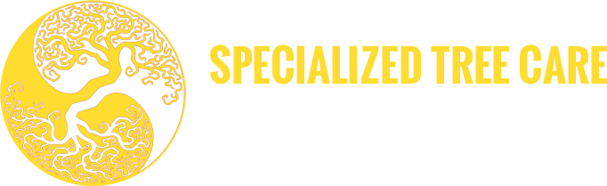 Specialized Tree Care Miami