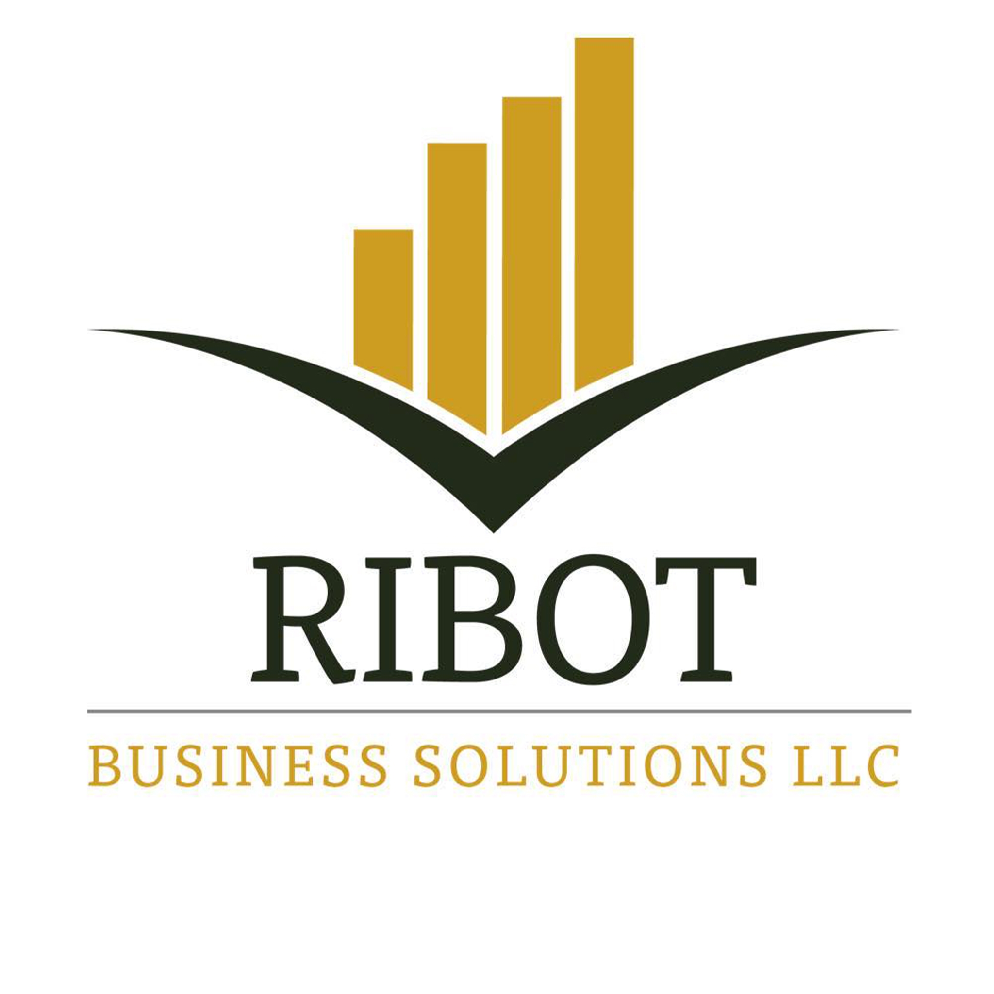 Ribot Business Solutions