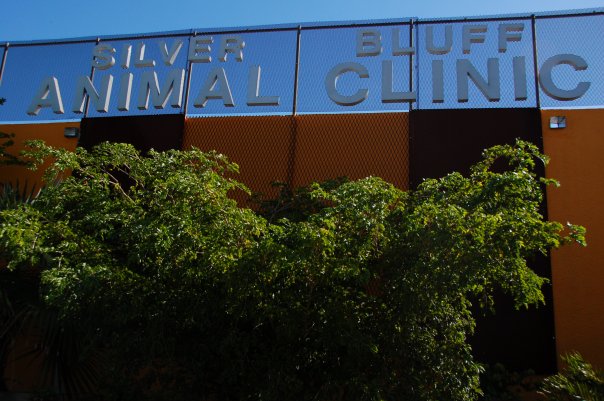 SILVER BLUFF ANIMAL CLINIC