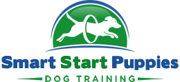 Smart Start Puppies – Dog Training