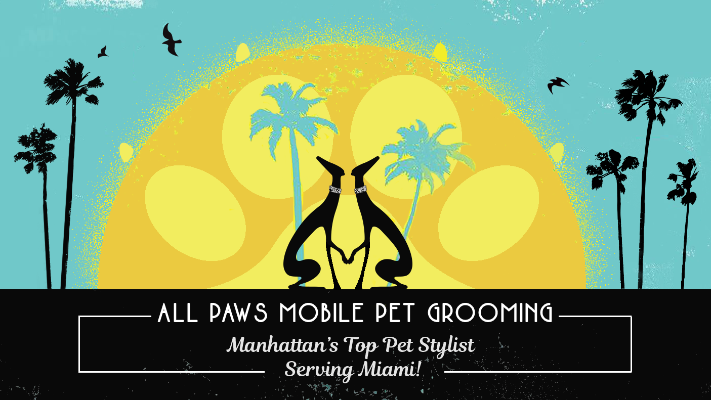 All Paws Mobile Pet Grooming